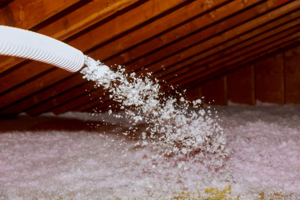 Best Energy Efficiency Solutions in Sun City Center, FL