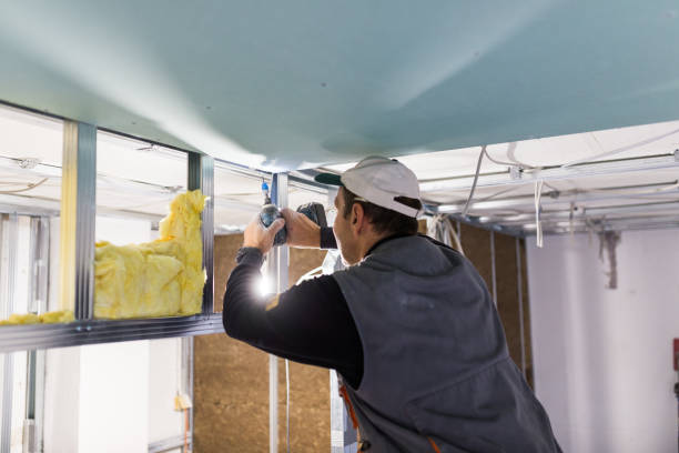 Best Insulation Installation Services in Sun City Center, FL