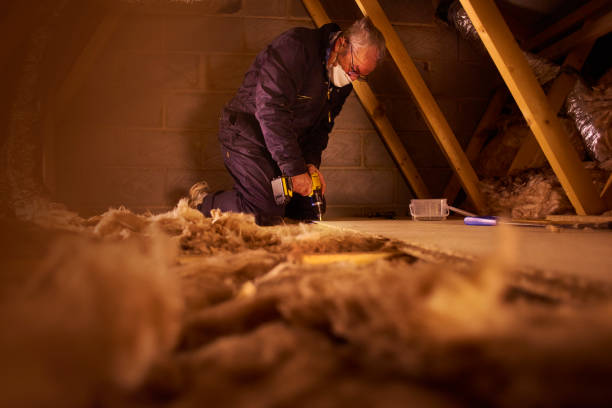 Best Residential Insulation in Sun City Center, FL